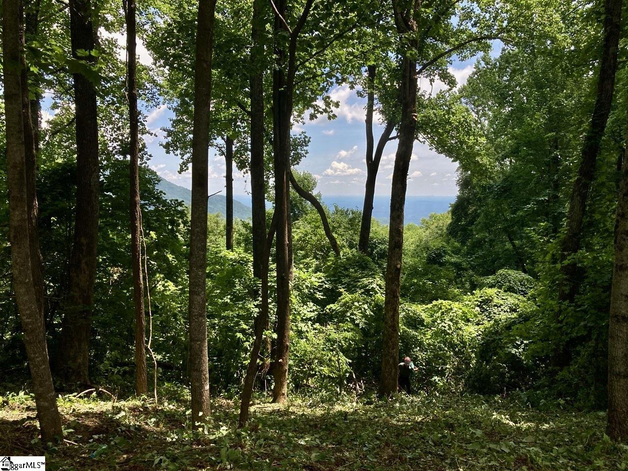 100 Deep Haven Lane Landrum, SC 29356 - Photo 5 of 9