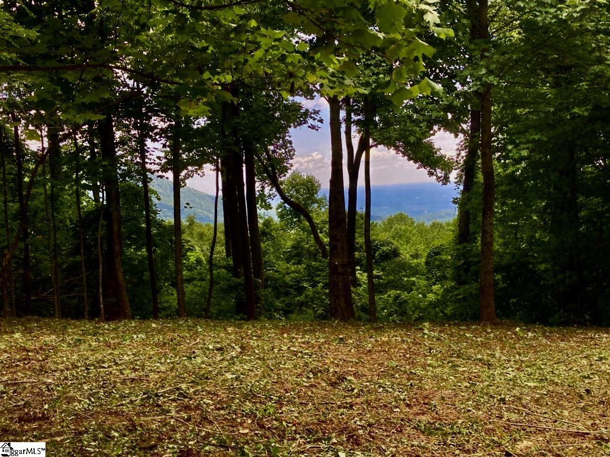 100 Deep Haven Lane Landrum, SC 29356 - Photo 6 of 9