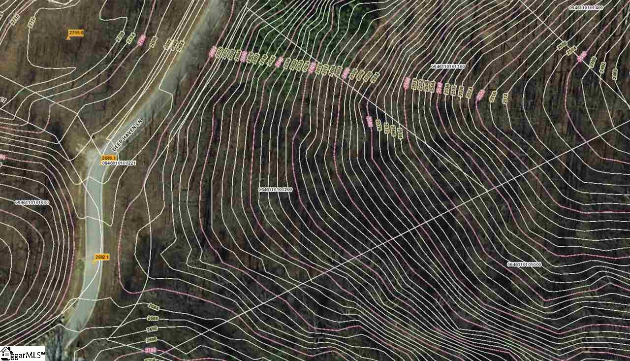 100 Deep Haven Lane Landrum, SC 29356 - Photo 8 of 9