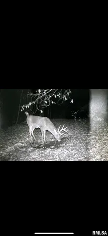 $575,000 | 14138 Boy Scout Trail, Petersburg, IL 62675