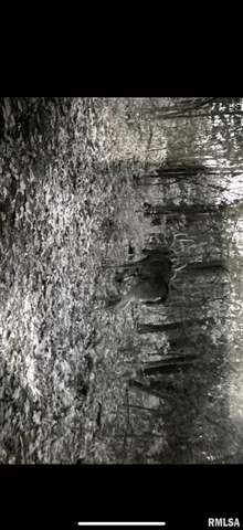 $575,000 | 14138 Boy Scout Trail, Petersburg, IL 62675