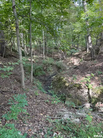 $575,000 | 14138 Boy Scout Trail, Petersburg, IL 62675