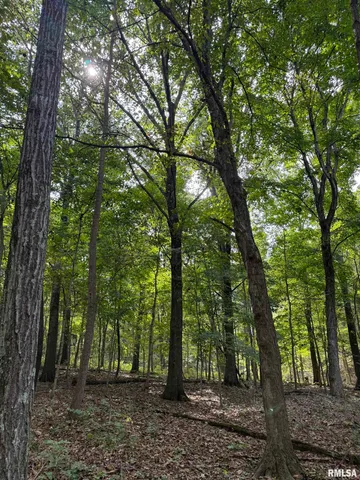 $575,000 | 14138 Boy Scout Trail, Petersburg, IL 62675