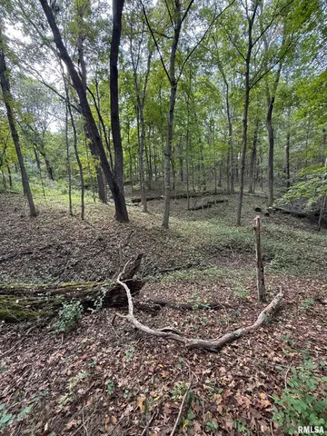 $575,000 | 14138 Boy Scout Trail, Petersburg, IL 62675