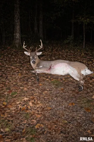 $575,000 | 14138 Boy Scout Trail, Petersburg, IL 62675