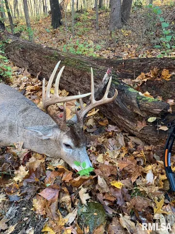 $575,000 | 14138 Boy Scout Trail, Petersburg, IL 62675