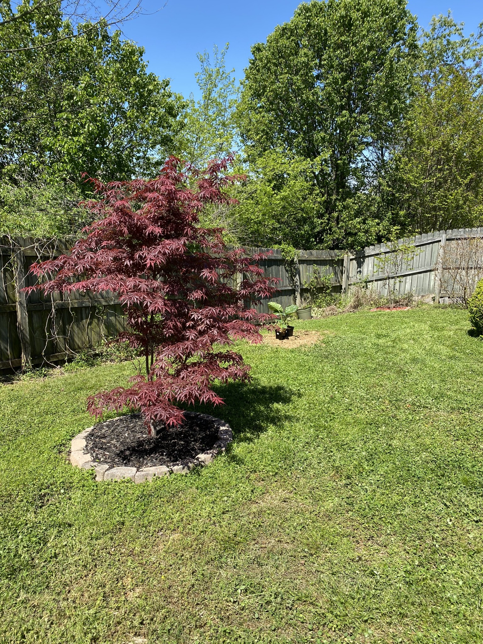 1164 Fitzpatrick Road Nashville, TN 37214 - Photo 16 of 16 Gallery Image 16
