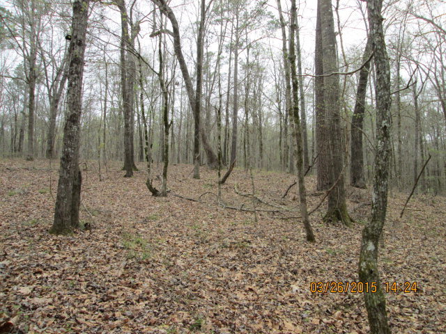 - Howard Roberts Road Gray, GA 31032 - Photo 1 of 5 a view of outdoor space with trees
