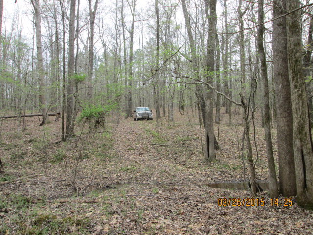 - Howard Roberts Road Gray, GA 31032 - Photo 4 of 5 a view of a forest with trees in the background