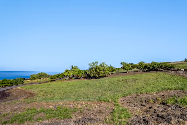 a view of a garden with a building in the background