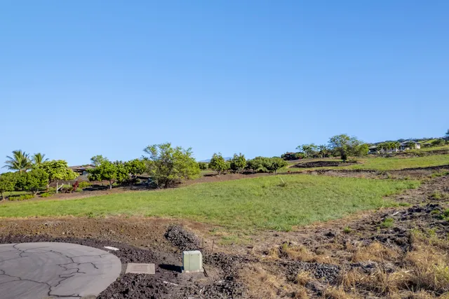 a view of a grassy area with an ocean
