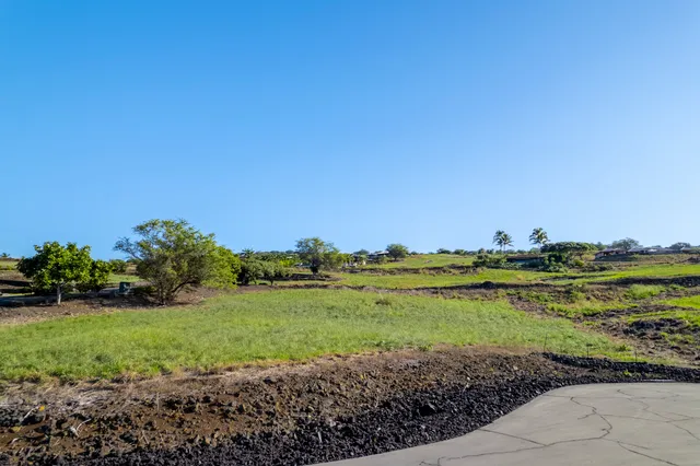 a view of a green field with lots of bushes