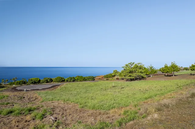 a view of a field with an ocean