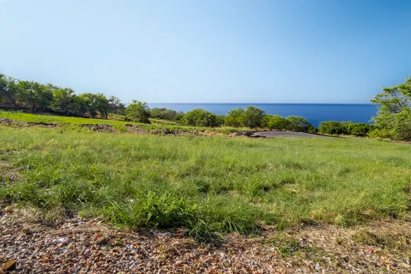 a view of a garden with an ocean