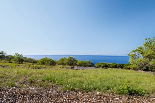a view of a field with an ocean and trees
