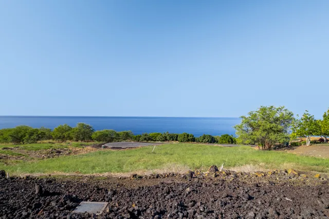 a view of a field with an ocean
