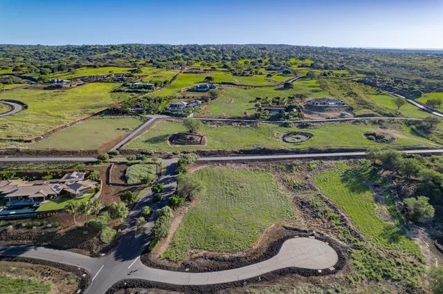 a view of a garden with an outdoor space
