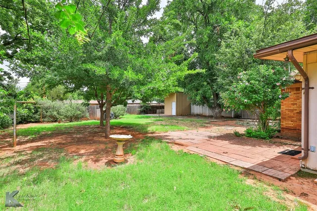 a view of a yard with plants and trees