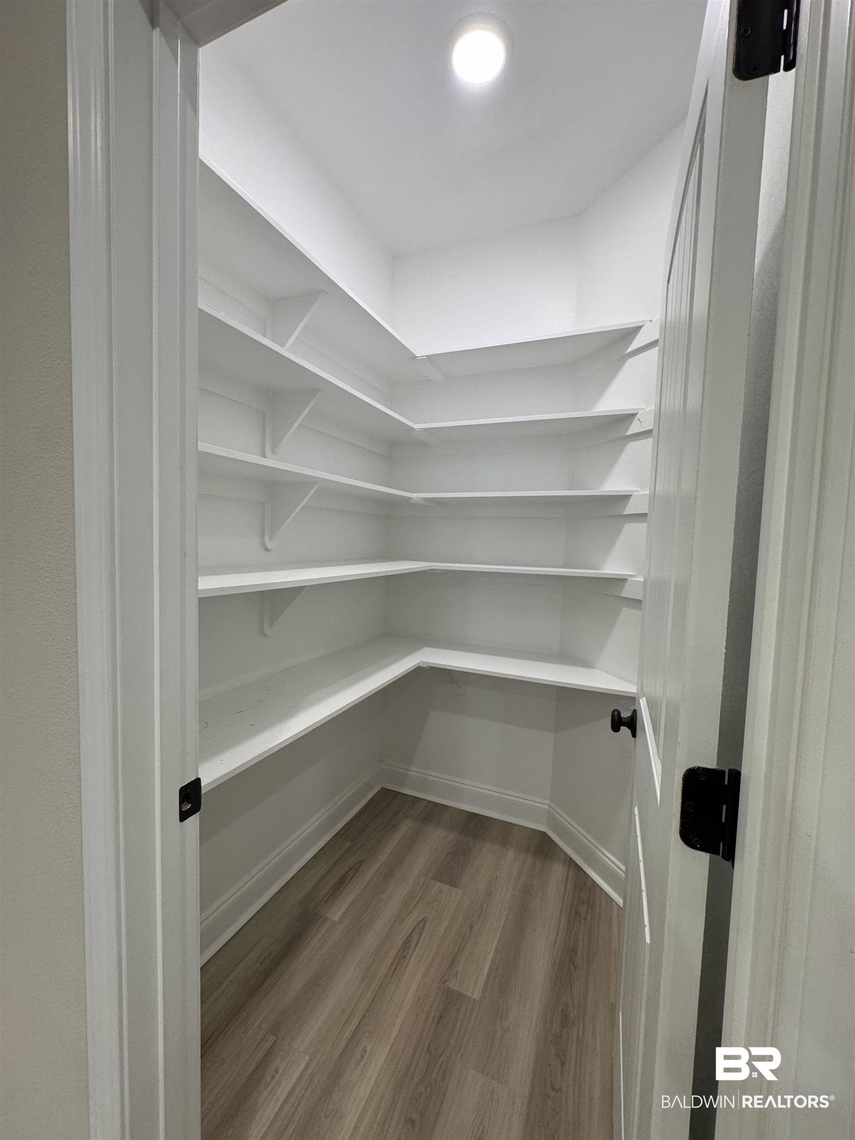 1060 Chloe Street Foley, AL 36535 - Photo 13 of 28 Walk-in pantry featuring extensive built-in shelving, recessed ceiling lighting, wood-finish flooring, and a paneled door with matte black hardware