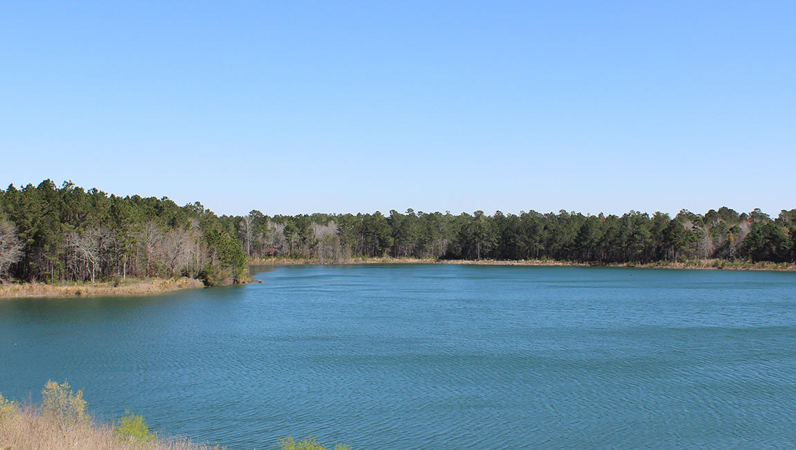 536 Pontoon Road Huger, SC 29450 - Photo 15 of 46 The Bridges at Seven Lakes Lake