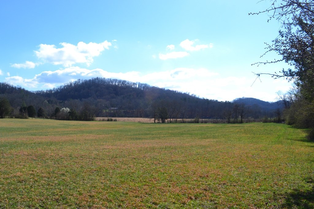 0 Tipton Station Road Knoxville, TN 37920 - Photo 10 of 12