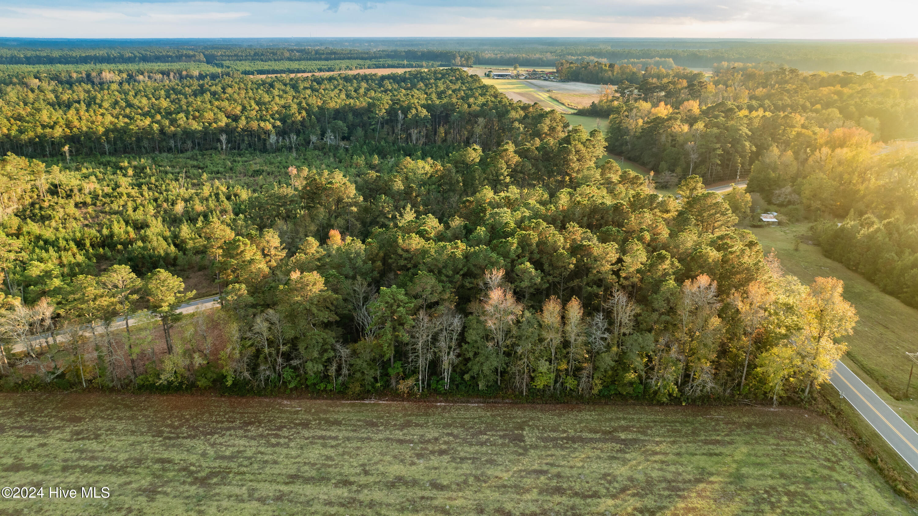 Tbd Tbd Riggs Road Maysville, NC 28555 - Photo 13 of 20 DJI_0284