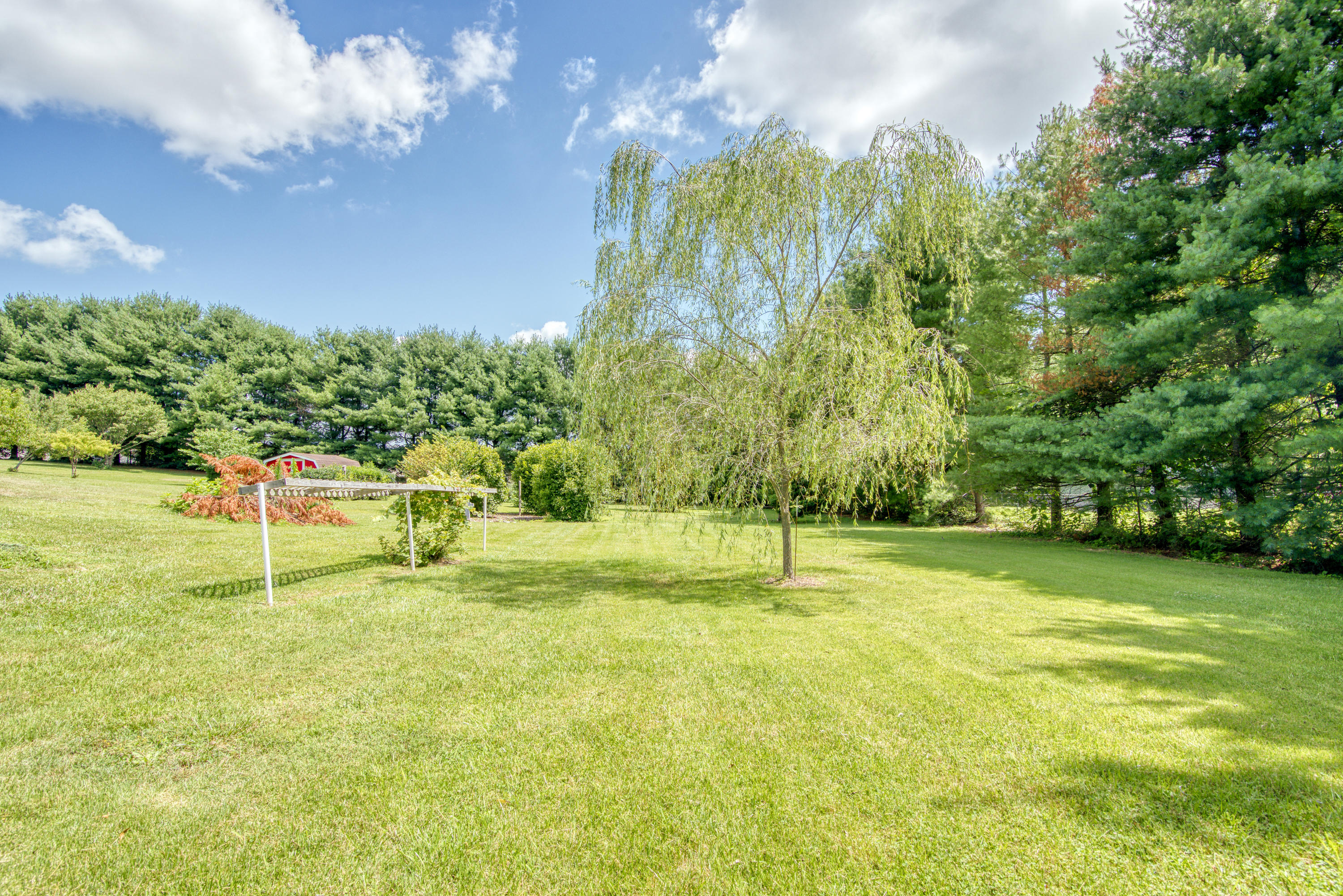 148 Hillrise Road Gray, TN 37615 - Photo 24 of 40 DSC_4382_MLS