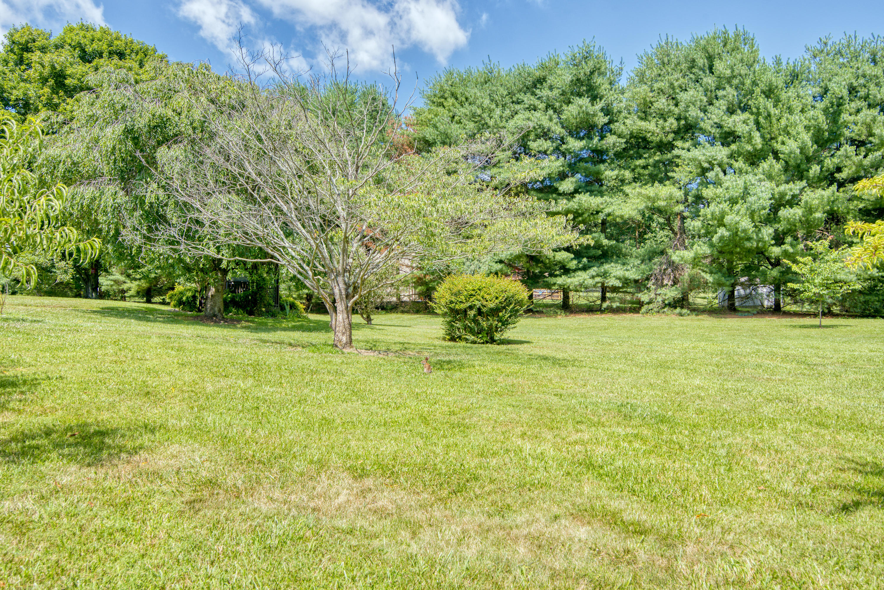 148 Hillrise Road Gray, TN 37615 - Photo 28 of 40 DSC_4398_MLS