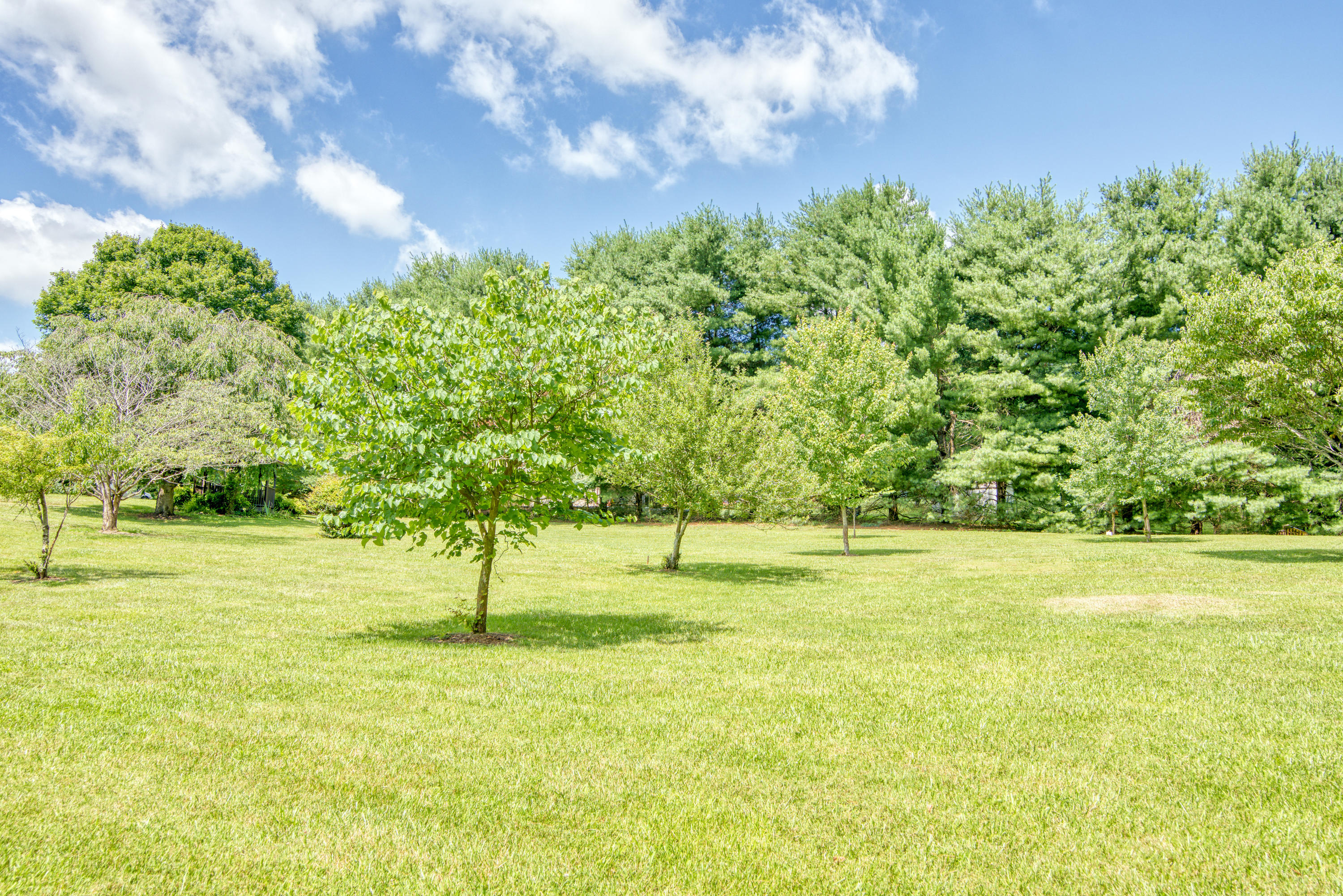 148 Hillrise Road Gray, TN 37615 - Photo 29 of 40 DSC_4408_MLS