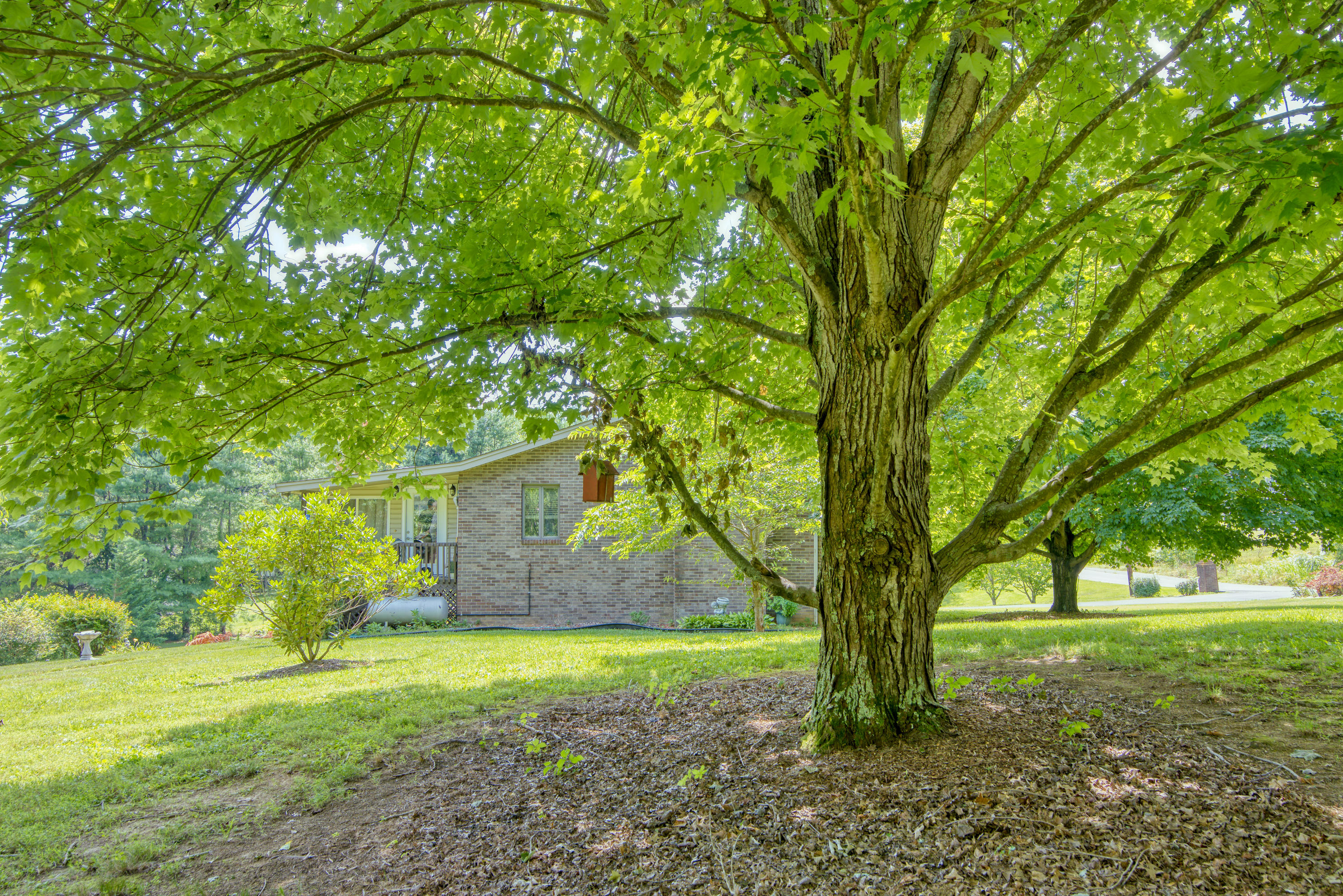 148 Hillrise Road Gray, TN 37615 - Photo 3 of 40 DSC_4416_MLS
