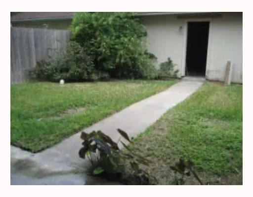 a view of a backyard with potted plants