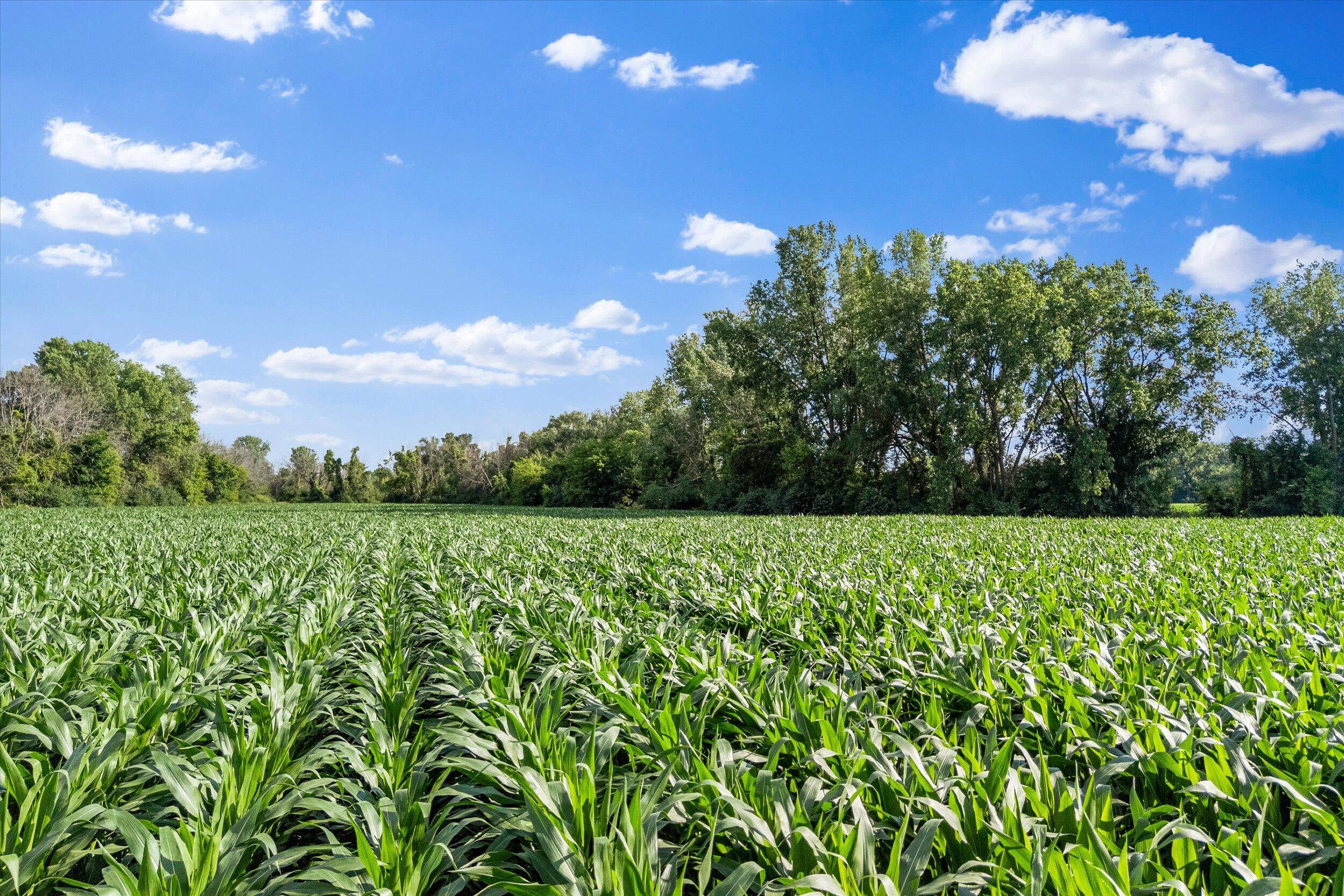 W7101 Provimi Road Emmet, WI 53098 - Photo 12 of 14 15-Middle Coast-15