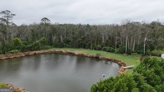an aerial view of a residential houses with outdoor space and trees