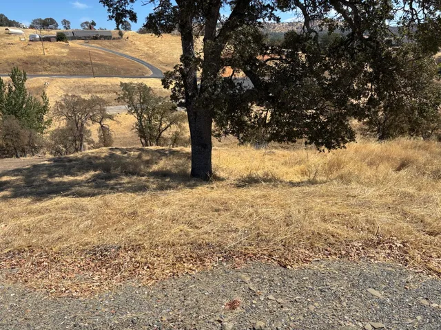 a view of yard covered with snow in outdoor space