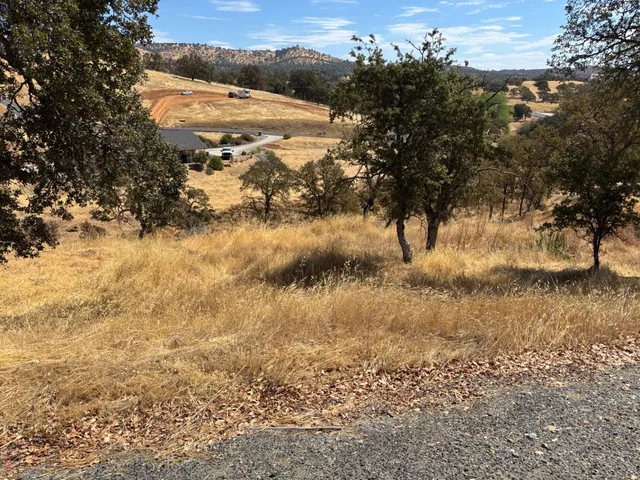a view of river covered with trees