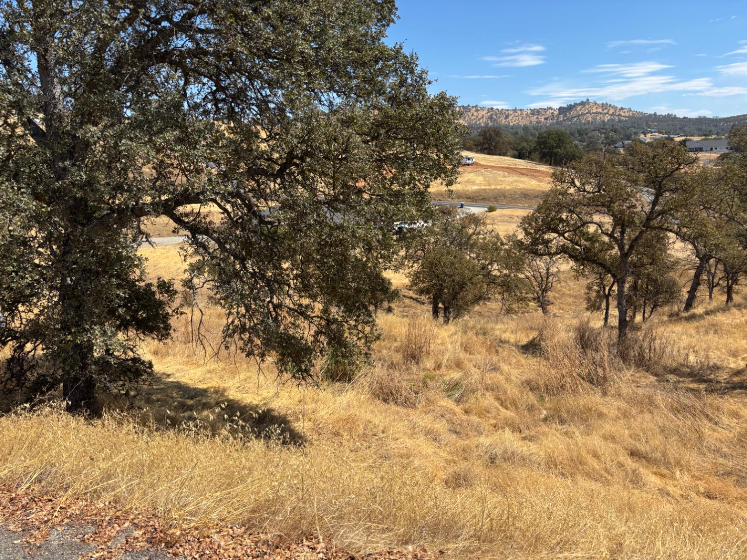 1122 Acorn Street Copperopolis, CA 95228 - Photo 8 of 8 a view of a yard with a tree
