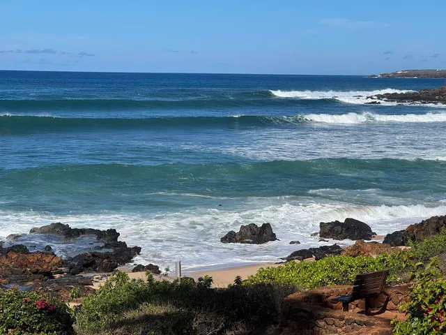 an aerial view of a large trees