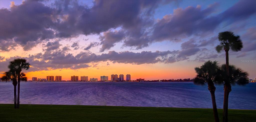 50 Coe Road, Unit 125 Belleair, FL 33756 - Photo 67 of 67 a view of a yard in front of a house
