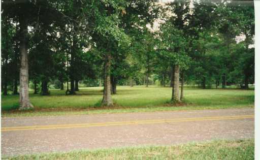 0 South Factory Road Folsom, LA 70437 - Photo 2 of 3 Gallery Image 2