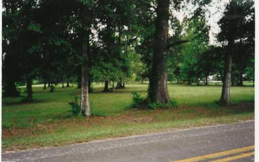 0 South Factory Road Folsom, LA 70437 - Photo 3 of 3 Gallery Image 3