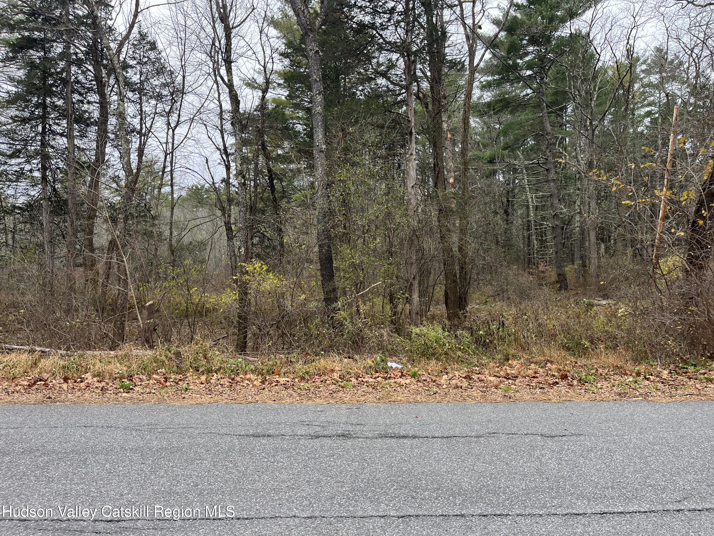 0 All Peat Beds Road Earlton, NY 12058 - Photo 2 of 8 a view of a wooden door and a yard