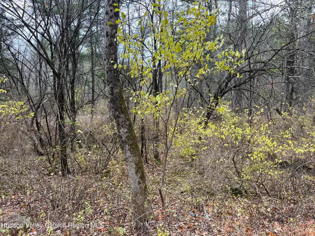 $25,000 | 0 All Peat Beds Road, Earlton, NY 12058