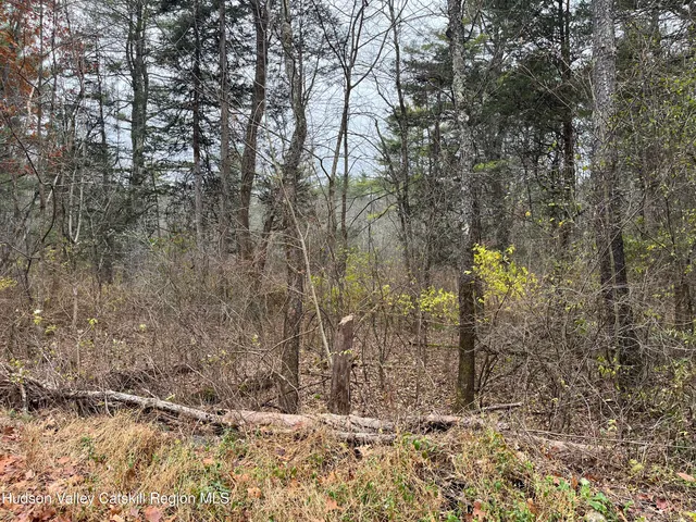 $25,000 | 0 All Peat Beds Road, Earlton, NY 12058