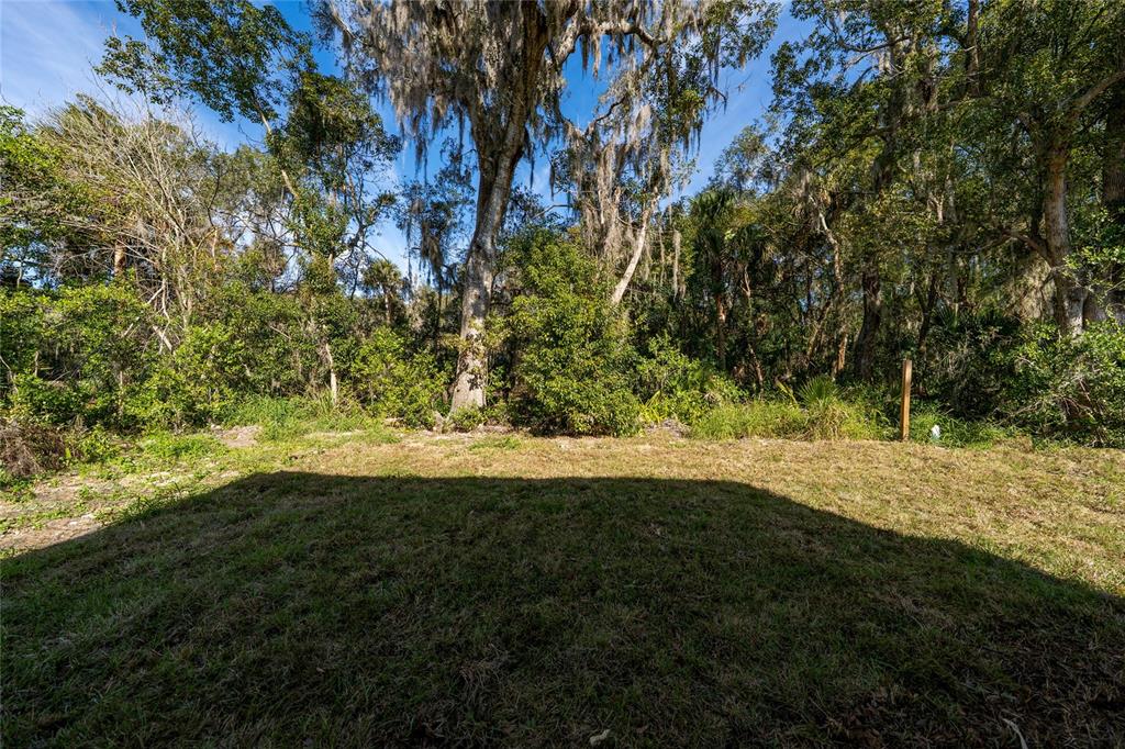 1427 Johnson Street Eustis, FL 32726 - Photo 23 of 25 a view of outdoor space and yard