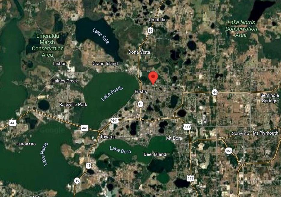 1427 Johnson Street Eustis, FL 32726 - Photo 25 of 25 a view of a tree with a flower