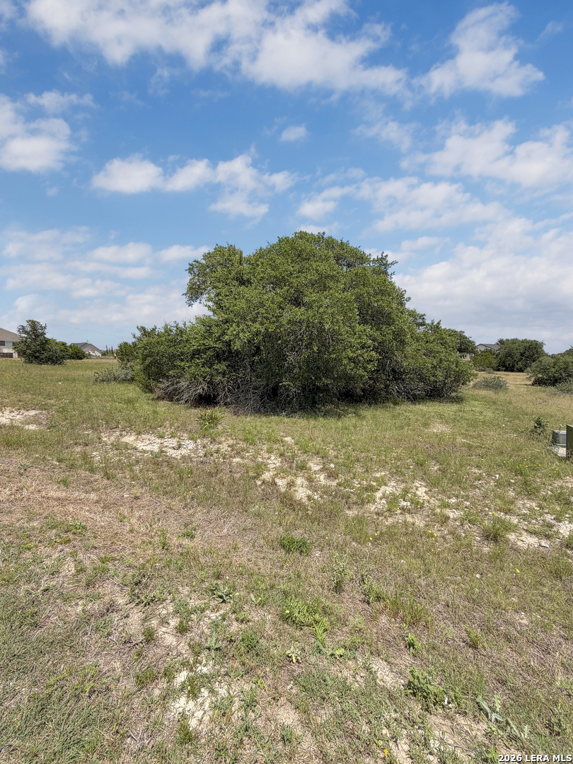 215 George Dolson Blanco, TX 78606 - Photo 26 of 29