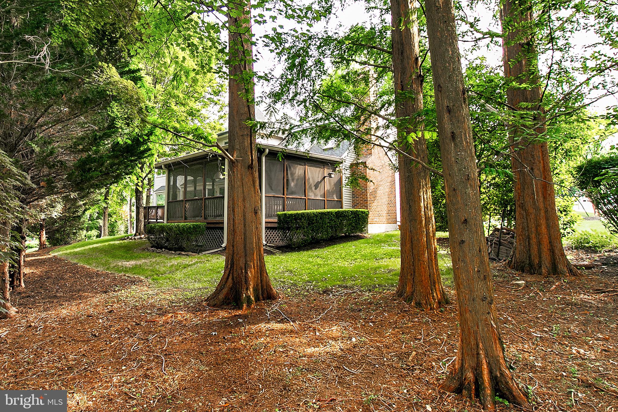 13500 Over Ridge Court Chantilly, VA 20151 - Photo 38 of 41 a view of a house with backyard and trees