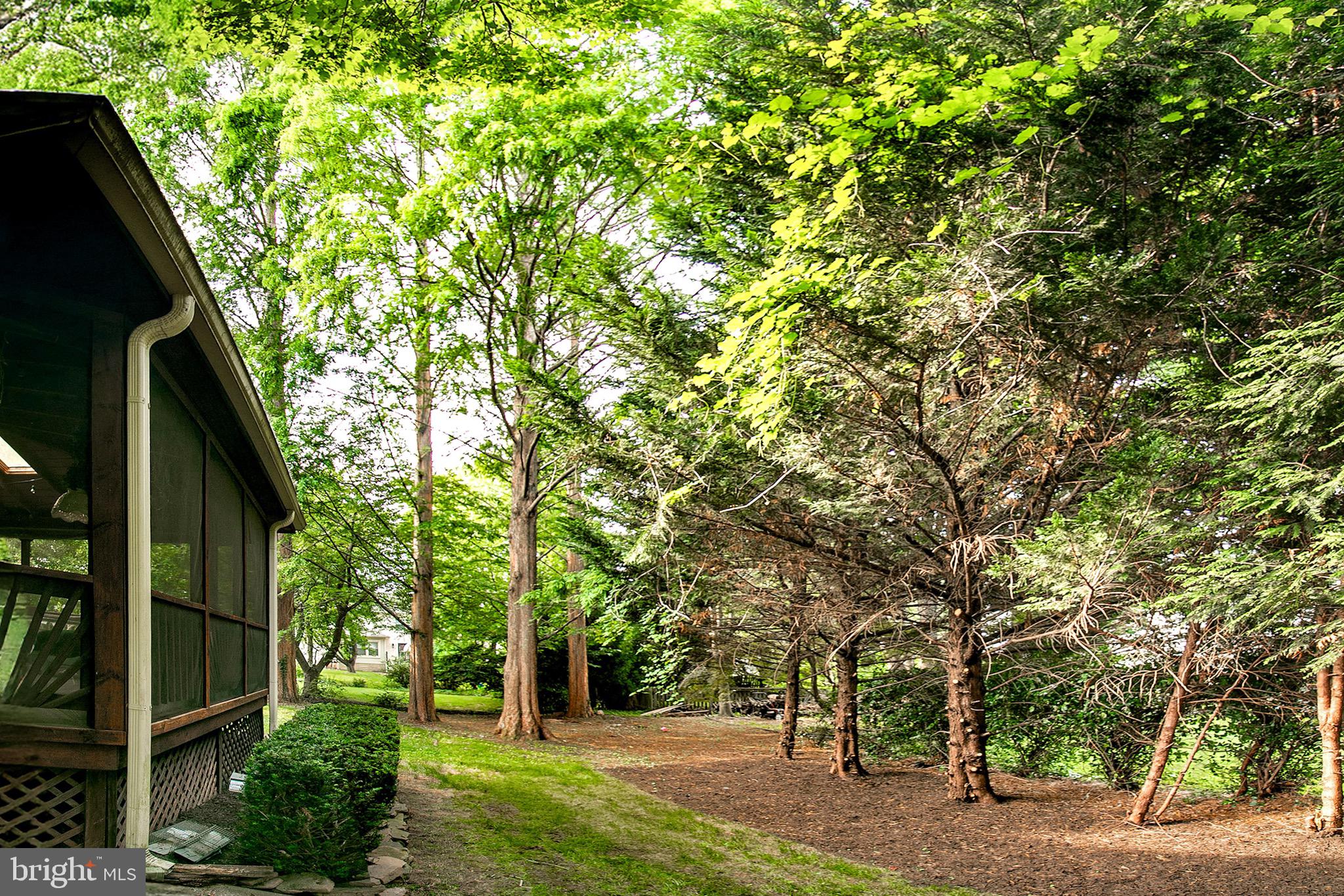 13500 Over Ridge Court Chantilly, VA 20151 - Photo 40 of 41 a view of backyard with green space