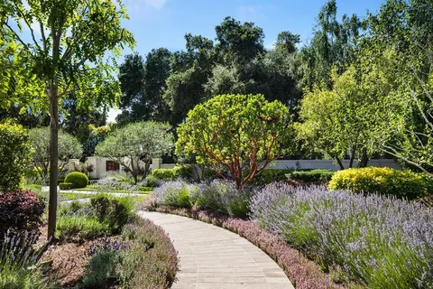 a view of a garden with a pathway