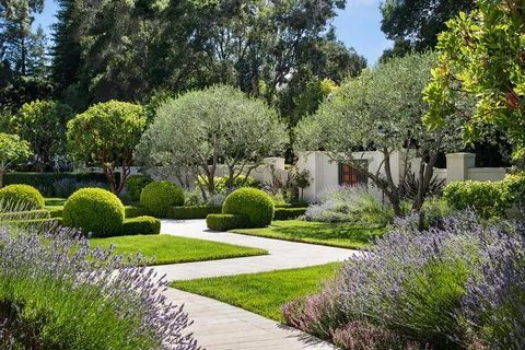 a view of a garden with a fountain